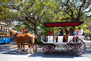 Group on Horse Carriage Ride