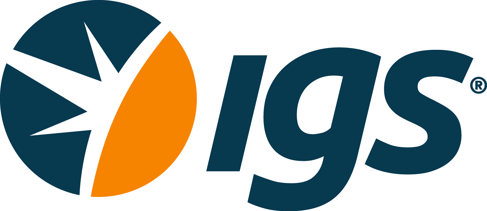 IGS Logo